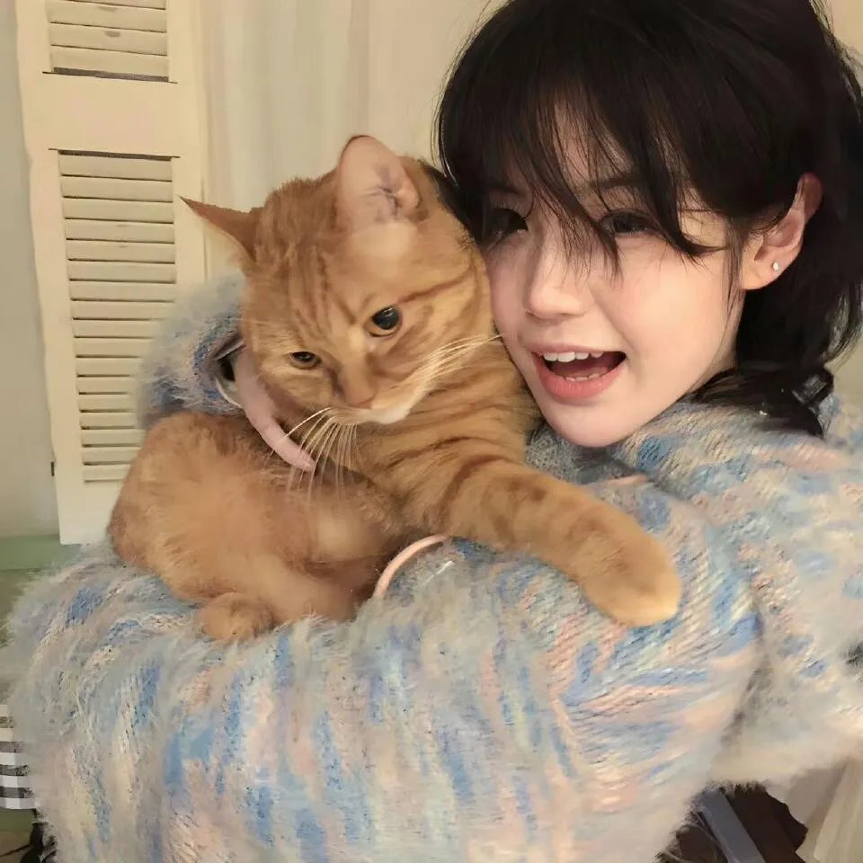 猛虎末路